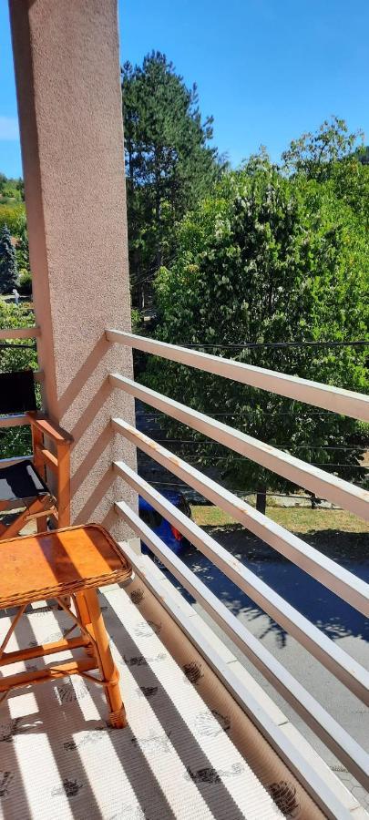 Apartman Lux Sneznik Vrnjačka Banja Esterno foto